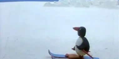 Pingu on Makeshift Skis