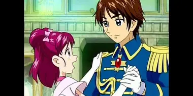 Pretty Cure 5's Cinderella Story