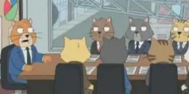 Cat Staff Meeting