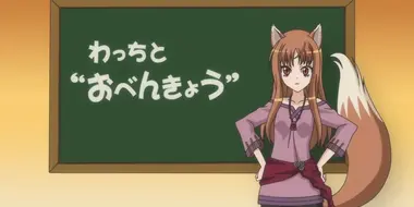 Studying with Holo