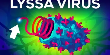 The Deadliest Virus on Earth