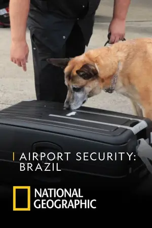 Season 5: Brazil