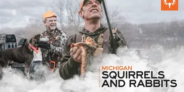 Michigan Squirrels and Rabbits