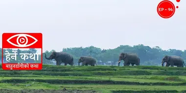 Bahundangi ko Katha