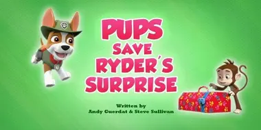 Pups Save Ryder's Surprise
