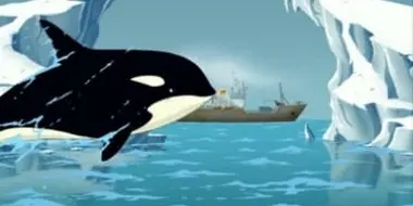 Attack of the Killer Whale