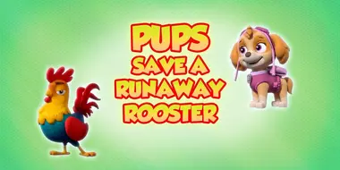 Pups Save a Runaway Rooster