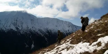 The Rugged Peaks: Alaskan Mountain Goat