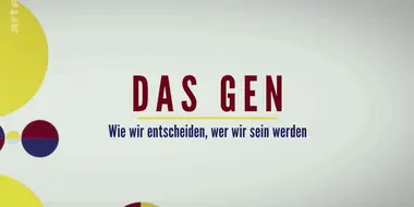 Wie wir entscheiden, wer wir sein werden