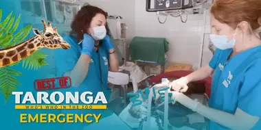 Emergency