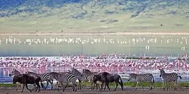 The Crater: Africa's Predator Paradise