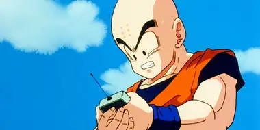 Krillin's Decision