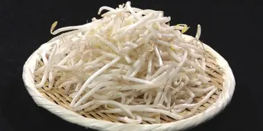 BEAN SPROUTS