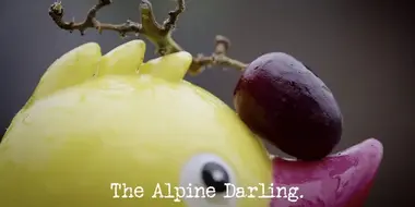 The Alpine Darling