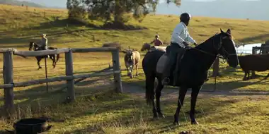 Cattle Muster