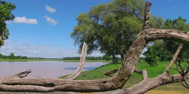 Luangwa River