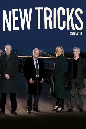 Series 11