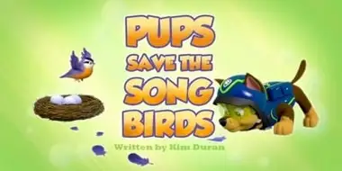 Pups Save the Songbirds