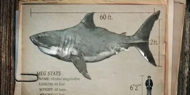 Expedition Unknown: Megalodon