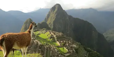 Machu Picchu