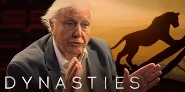 David Attenborough On Dynasties