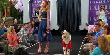 Dog on a Catwalk