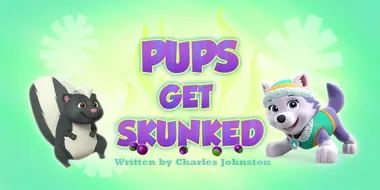Pups Get Skunked