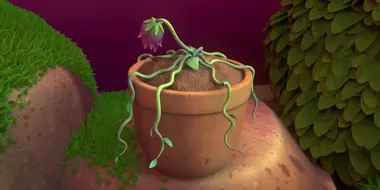 Sad Sad Plant