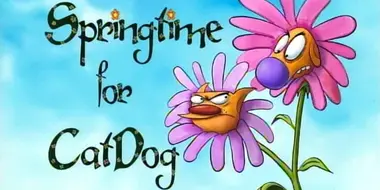 Springtime For CatDog