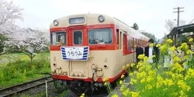 Isumi Railway: There's Nothing Here!