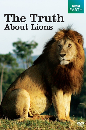 The Truth About Lions