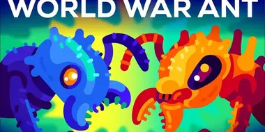 The World War of the Ants — The Army Ant