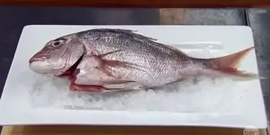 Elimination Challenge: Three Dishes from One Snapper