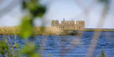 America’s Swamp Castle