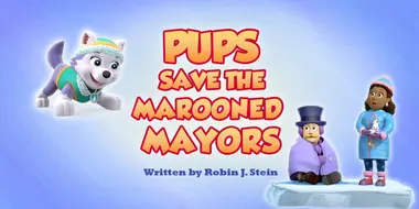 Pups Save the Marooned Mayors