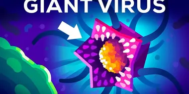 This Virus Shouldn't Exist (But it Does)