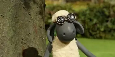 Ewe've Been Framed