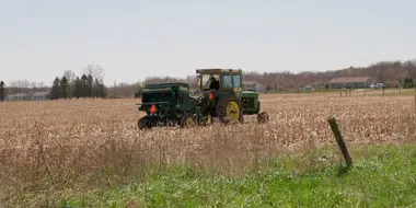 Hayfield of Dreams