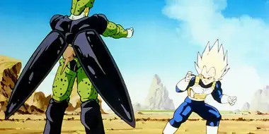 Vegeta Must Pay