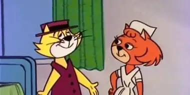 Top Cat Falls in Love