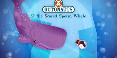 The Scared Sperm Whale