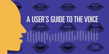 A User's Guide to the Voice