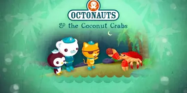 The Coconut Crabs