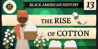 The Rise of Cotton