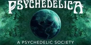 A Psychedelic Society