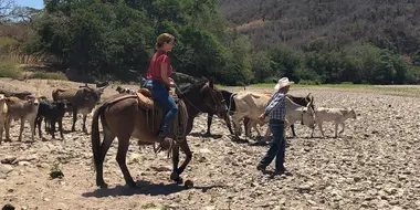 Jinetes, Adventure in the Mountains