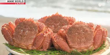 HORSEHAIR CRABS