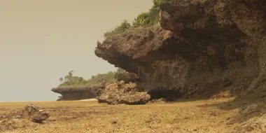 Sandy Ecosystems