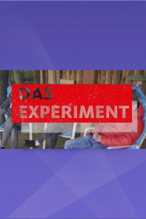 Das Experiment