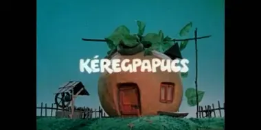 Kéregpapucs